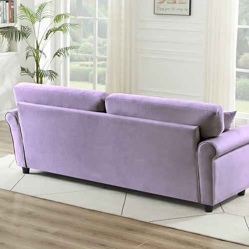 Purple sofa in a bright living room with large windows and a plant.